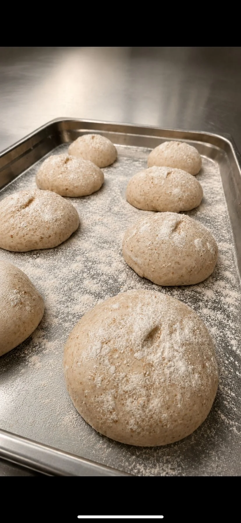 Masa de panecillos durante el reposo